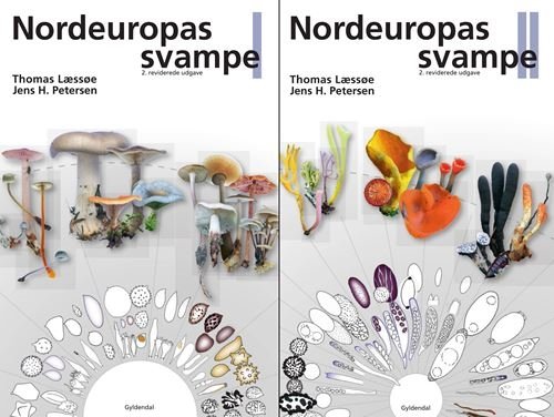 Cover for Jens H. Petersen; Thomas Læssøe · Nordeuropas svampe 1-2 (Indbundet Bog) [2. udgave] (2022)