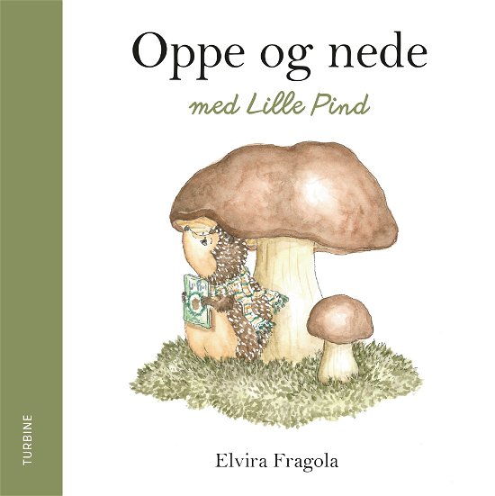 Cover for Elvira Fragola · Oppe og nede med Lille Pind (Cardboard Book) [1st edition] (2022)