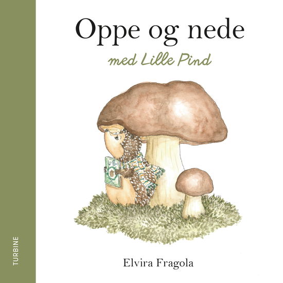 Cover for Elvira Fragola · Oppe og nede med Lille Pind (Cardboard Book) [1º edição] (2022)