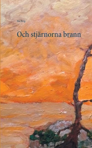 Cover for Bia Berg · Och stjarnorna brann (Pocketbok) (2020)