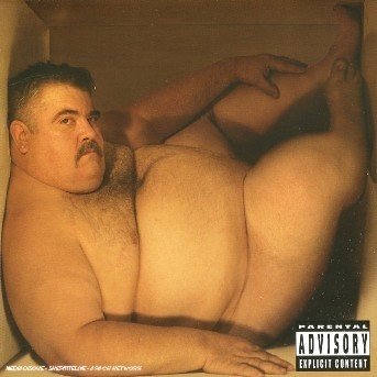 Cover for Bloodhound Gang · Hefty Fine (CD) (2005)