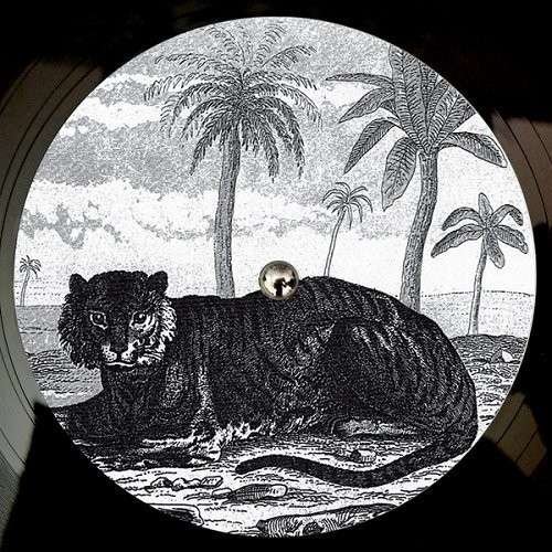Cover for Tigerskin · Try the Impossible (12&quot;) (2012)