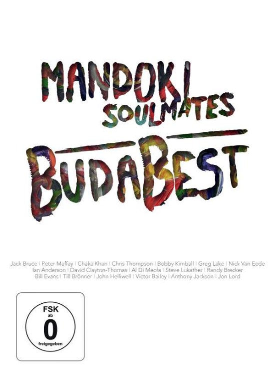Cover for Mandoki Soulmates · Budabest Koncert Mupa 2013 (DVD) (2013)
