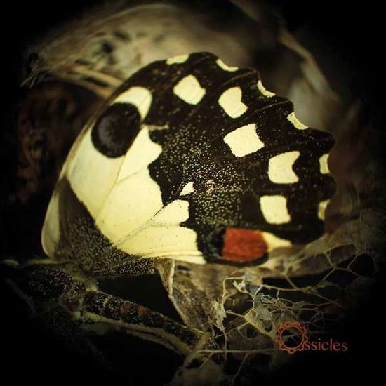 Ossicles · Music for Wastelands (CD) (2015)