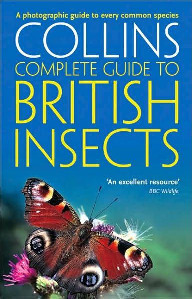 Cover for Michael Chinery · British Insects: A Photographic Guide to Every Common Species - Collins Complete Guide (Paperback Book) (2009)