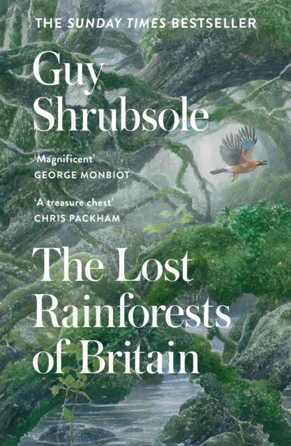 Cover for Guy Shrubsole · The Lost Rainforests of Britain (Paperback Book) (2023)