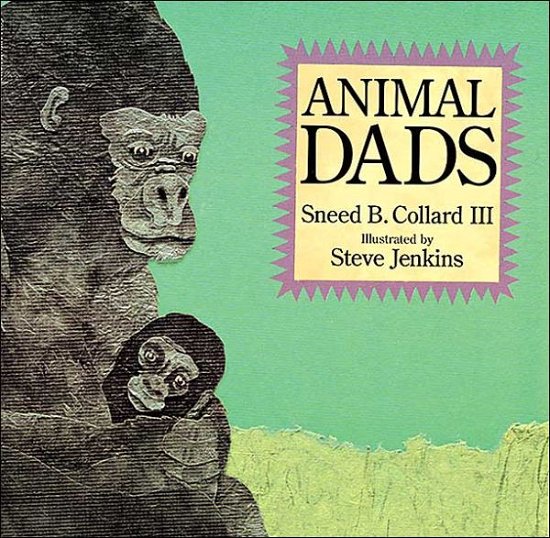 Cover for Collard, Sneed B., III · Animal Dads (Taschenbuch) (2000)