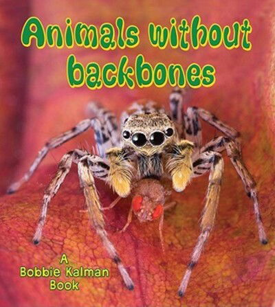 Cover for Bobbie Kalman · Animals without backbones (Book) (2008)