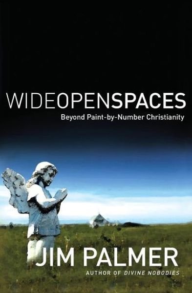 Cover for Jim Palmer · Wide Open Spaces: Beyond Paint-by-Number Christianity (Paperback Bog) (2007)