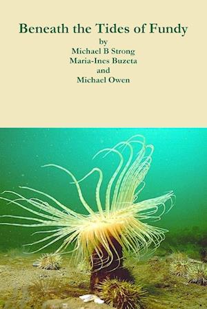 Cover for Michael Strong · Beneath the Tides of Fundy (Book) (2016)