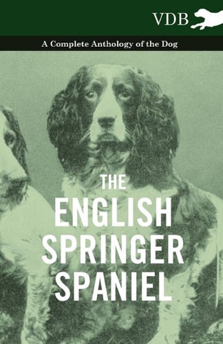 Cover for The English Springer Spaniel - a Complete Anthology of the Dog (Paperback Book) (2010)