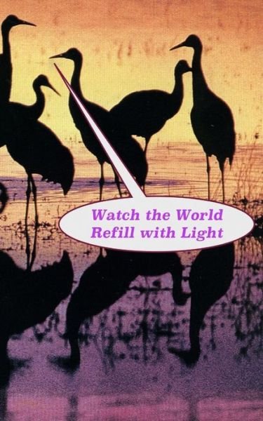 Cover for Mr Jeffrey Danner · Watch the World Refill with Light (Paperback Book) (2015)