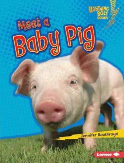 Cover for Jennifer Boothroyd · Meet a baby pig (Book) (2016)