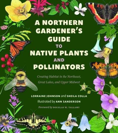 Cover for Lorraine Johnson · Northern Gardener's Guide to Native Plants and Pollinators (Bok) (2023)