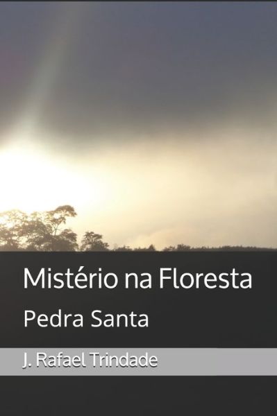 Cover for J Rafael Trindade · Misterio na Floresta (Paperback Book) (2018)