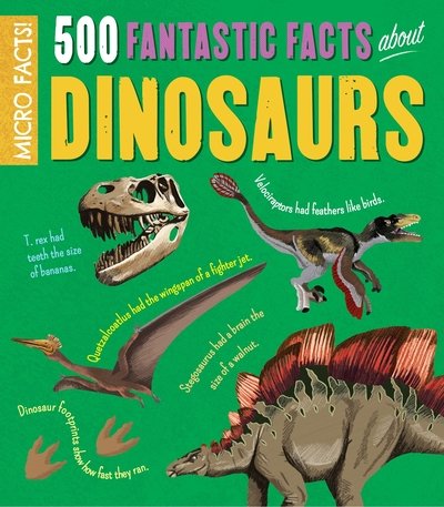 Cover for Anne Rooney · Micro Facts!: 500 Fantastic Facts About Dinosaurs - Micro Facts (Paperback Bog) (2020)