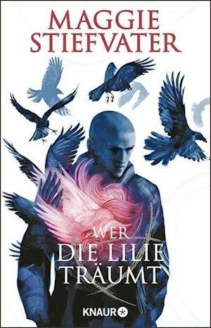 Cover for Maggie Stiefvater · Wer die Lilie träumt (Paperback Bog) (2022)