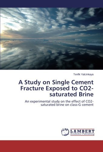 Cover for Tevfik Yalcinkaya · A Study on Single Cement Fracture Exposed to Co2-saturated Brine: an Experimental Study on the Effect of Co2-saturated Brine on Class-g Cement (Pocketbok) (2014)