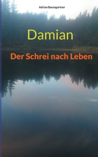 Cover for Adrian Baumgartner · Damian (Paperback Book) (2022)