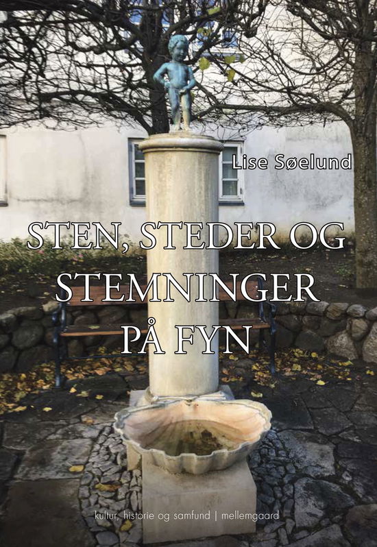 Cover for Lise Søelund · Sten, steder og stemninger på Fyn (Sewn Spine Book) [1st edition] (2025)