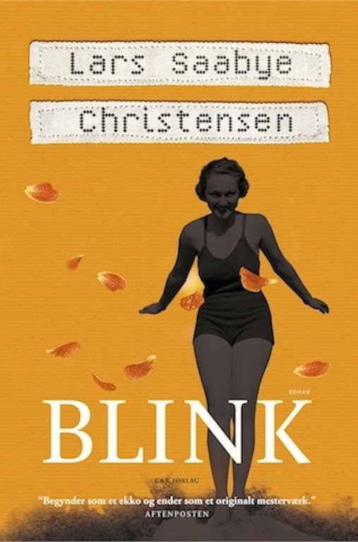 Cover for Lars Saabye Christensen · Blink (Book) [1e uitgave] [INDBUNDET] (2013)