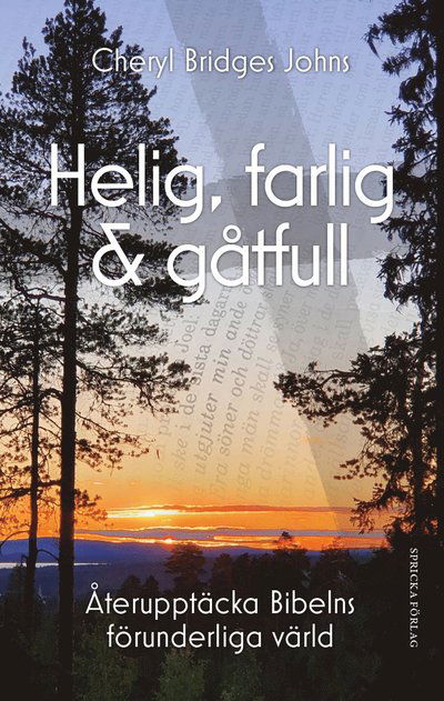 Cover for Cheryl Bridges Johns · Helig, farlig &amp; gåtfull : återupptäcka Bibelns förunderliga värld (Paperback Book) (2024)