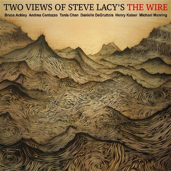 Cover for Bruce Ackley &amp; Andrea Centazzo &amp; Tania Chen &amp; Danielle DeGruttola &amp; Henry Kaiser &amp; Michael Manring · Two Views of Steve Lacys the Wire (CD) (2024)