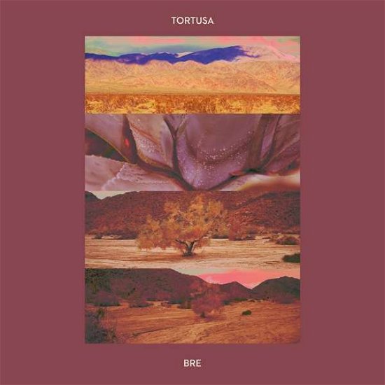 Cover for Tortusa · Bre (CD) (2021)
