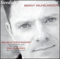 Cover for Stenhammar / Sjogren / Wilhelmsson · Swedish Piano Romanticism (CD) (2006)
