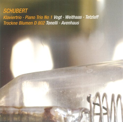Piano Trio No.1/Trockne B - F. Schubert - Musik - AVI - 4260085530991 - 10. september 2007
