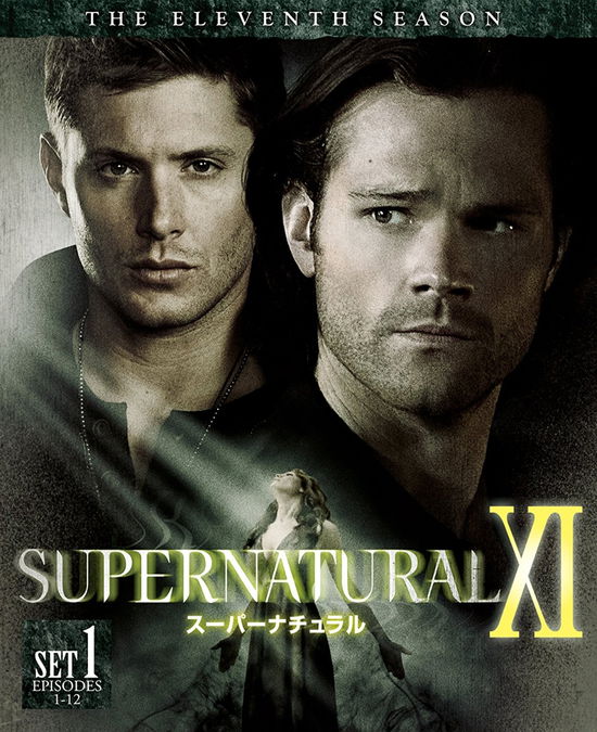 Supernatural Season 11 - Jared Padalecki - Music - WARNER BROS. HOME ENTERTAINMENT - 4548967343991 - September 20, 2017