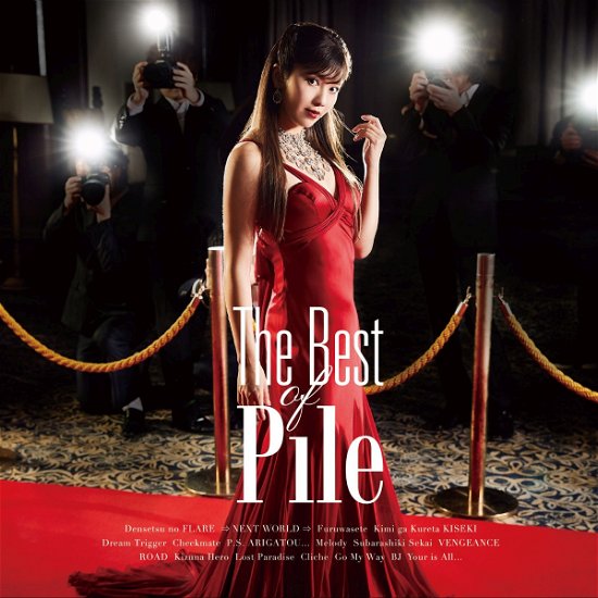 Cover for Pile · The Best of Pile (CD) [Japan Import edition] (2018)