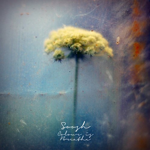 Cover for Soosh · Colour is Breathe (LP) (2013)