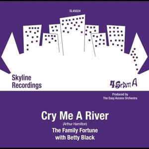 Cover for Family Fortune · Cry Me A River (LP) (2023)