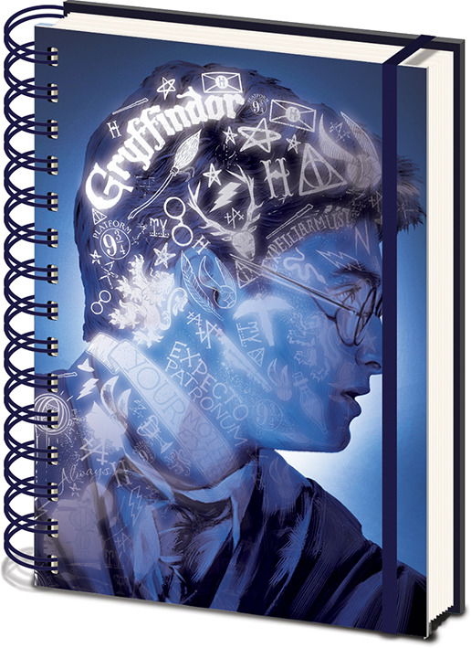 Cover for Pyramid International · Harry Potter: Magic Portrait 3D Cover -A5 Wiro Notebook- (Quaderno) (Toys) (2019)