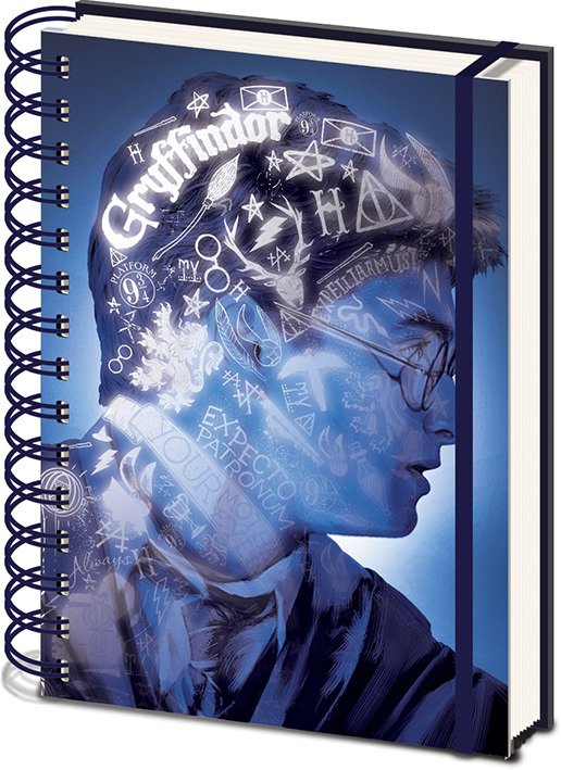 Cover for Pyramid International · Harry Potter: Magic Portrait 3D Cover -A5 Wiro Notebook- (Quaderno) (Leketøy) (2019)