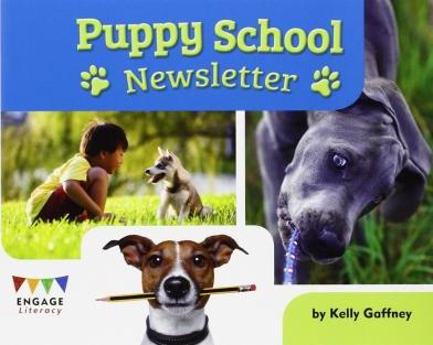 Cover for Kelly Gaffney · Puppy School Newsletter (Paperback Book) (2014)