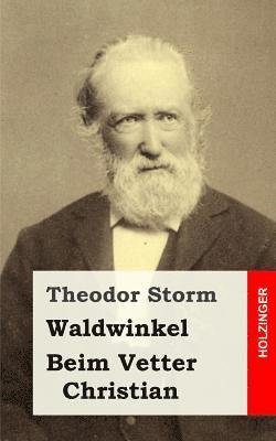 Cover for Theodor Storm · Waldwinkel / Beim Vetter Christian (Paperback Bog) (2013)