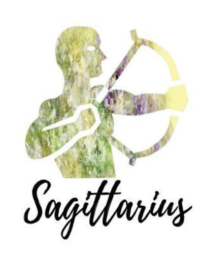 Cover for My Astrology Journals · Sagittarius (Pocketbok) (2018)