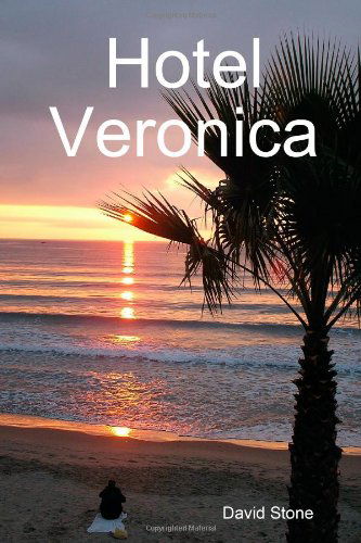 Cover for David Stone · Hotel Veronica (Paperback Book) (2006)