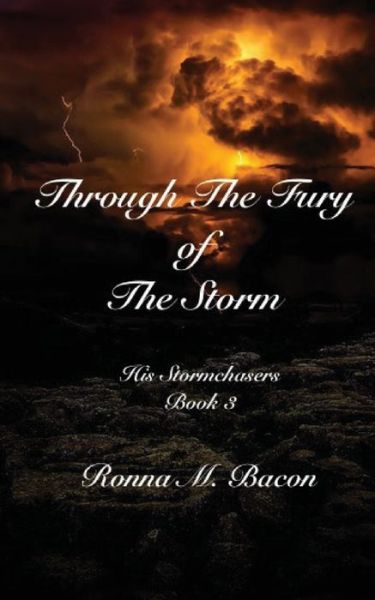 Cover for Ronna M Bacon · Through The Fury of The Storm (Paperback Book) (2019)