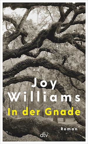 Cover for Joy Williams · In Der Gnade (Buch)