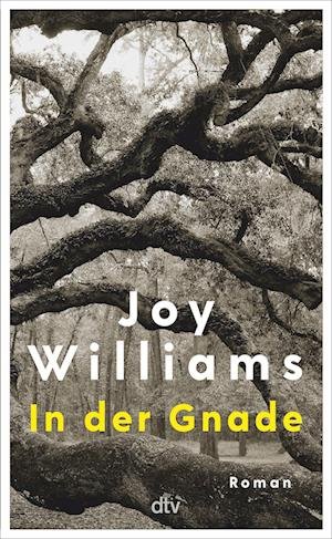 Cover for Joy Williams · In Der Gnade (Bog)