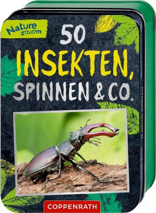Cover for Haag · 50 Insekten, Spinnen und Co. (Bok)