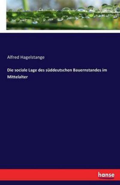 Die sociale Lage des süddeu - Hagelstange - Books -  - 9783743488991 - December 6, 2016