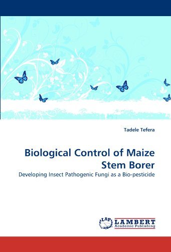 Cover for Tadele Tefera · Biological Control of Maize Stem Borer: Developing Insect Pathogenic Fungi As a Bio-pesticide (Paperback Bog) (2010)