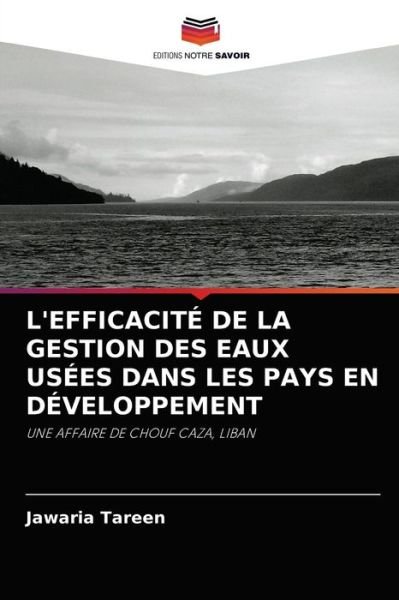 Cover for Jawaria Tareen · L'Efficacite de la Gestion Des Eaux Usees Dans Les Pays En Developpement (Paperback Bog) (2021)