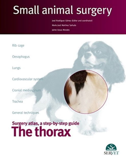 Cover for Jose Rodriguez · The thorax, Small animal surgery (Hardcover Book) (2013)