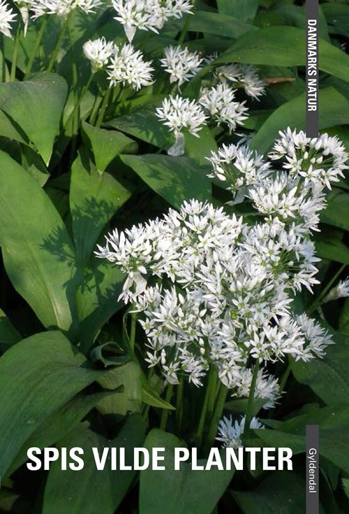 Cover for Dorte Rhode Nissen; Edith Agerbo · Danmarks Natur: Danmarks natur - Spis vilde planter (Sewn Spine Book) [1.º edición] (2013)