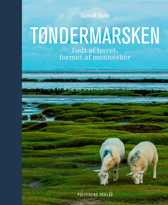 Cover for Gunhild Riske · Tøndermarsken (Bound Book) [1º edição] (2024)